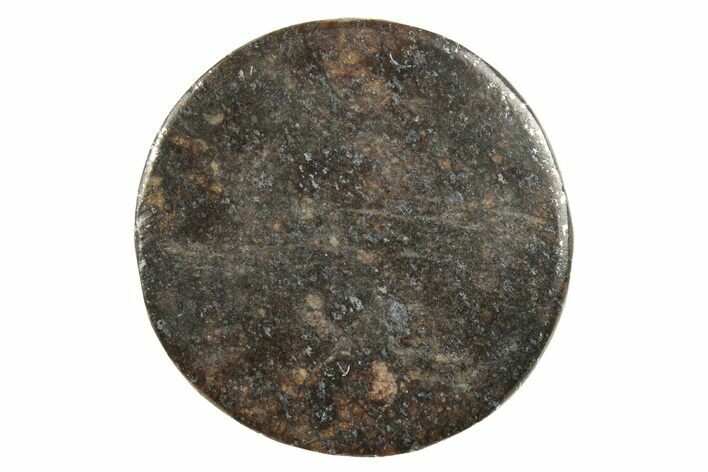 Chondrite Meteorite Cabochon ( g) #238199